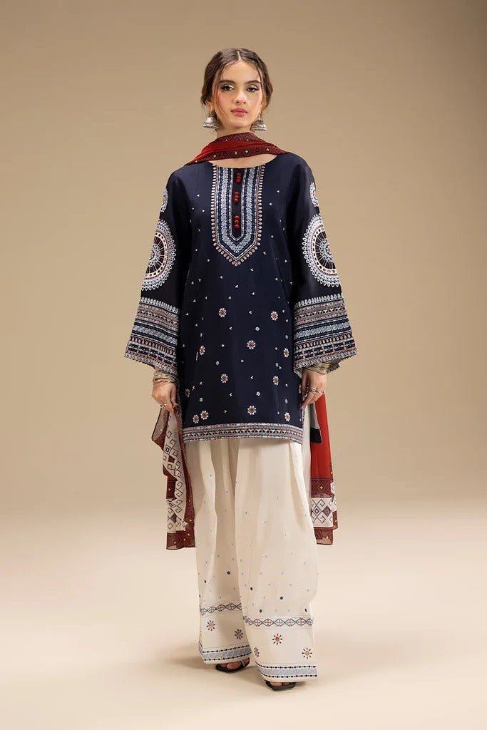 Heavy Embroidered Dhanak Suit Wool Shawl